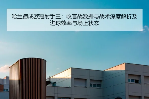 ha-lan-de-cheng-ou-guan-she-shou-wang-shou-guan-zhan-shu-ju-yu-zhan-shu-shen-du-jie-xi-ji-jin-qiu-xiao-lv-yu-chang-2-163.jpg